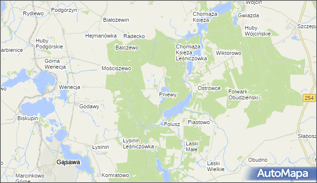 mapa Pniewy gmina Gąsawa, Pniewy gmina Gąsawa na mapie Targeo