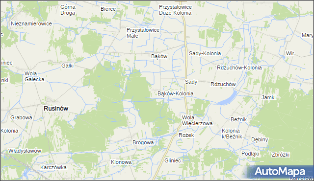 mapa Bąków-Kolonia, Bąków-Kolonia na mapie Targeo