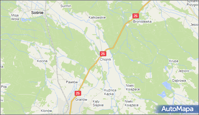 mapa Chojnik gmina Sośnie, Chojnik gmina Sośnie na mapie Targeo