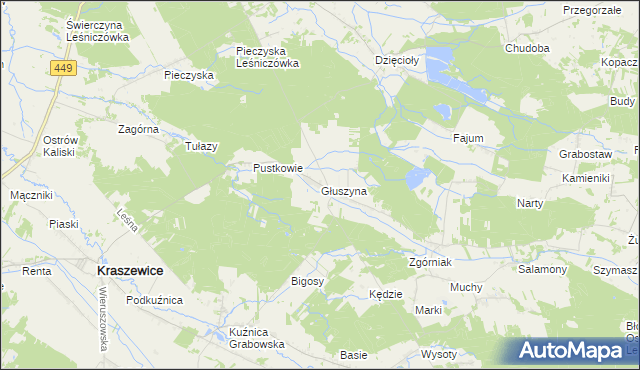 mapa Głuszyna gmina Kraszewice, Głuszyna gmina Kraszewice na mapie Targeo