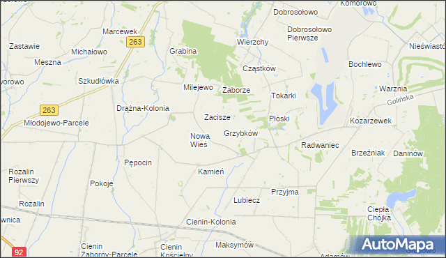 mapa Grzybków, Grzybków na mapie Targeo
