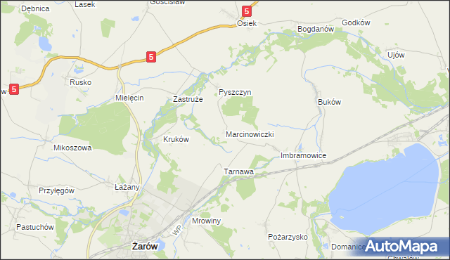 mapa Marcinowiczki, Marcinowiczki na mapie Targeo