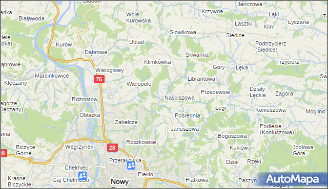 mapa Naściszowa, Naściszowa na mapie Targeo
