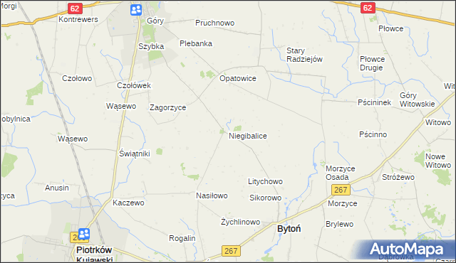 mapa Niegibalice, Niegibalice na mapie Targeo