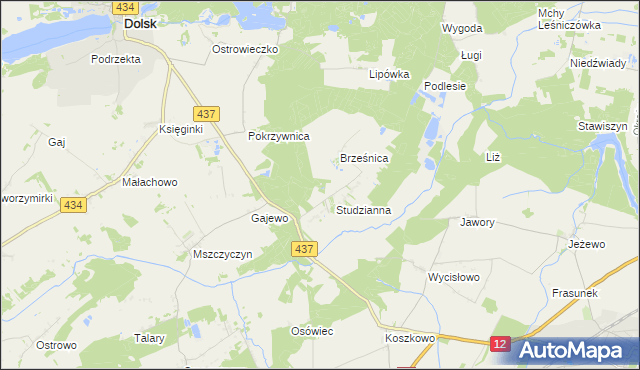 mapa Orliniec gmina Dolsk, Orliniec gmina Dolsk na mapie Targeo