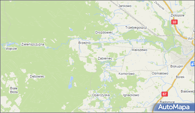 mapa Żabieniec gmina Lipno, Żabieniec gmina Lipno na mapie Targeo