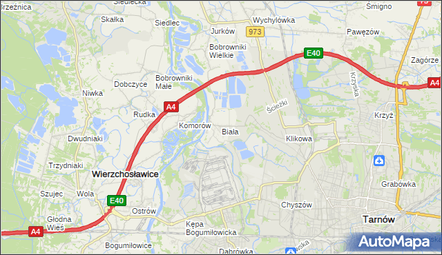 mapa Biała gmina Tarnów, Biała gmina Tarnów na mapie Targeo