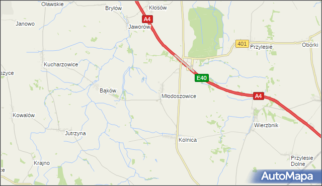 mapa Młodoszowice, Młodoszowice na mapie Targeo