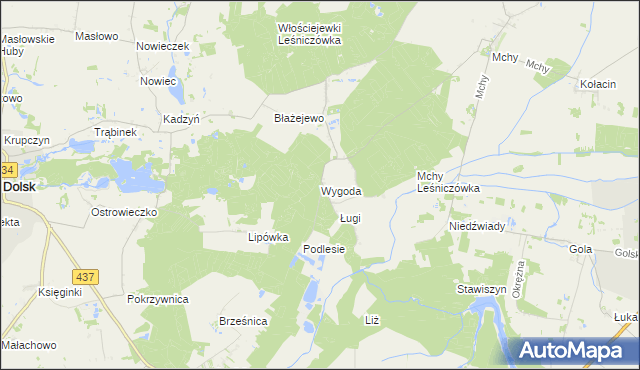 mapa Wygoda gmina Dolsk, Wygoda gmina Dolsk na mapie Targeo
