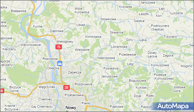 mapa Naściszowa, Naściszowa na mapie Targeo