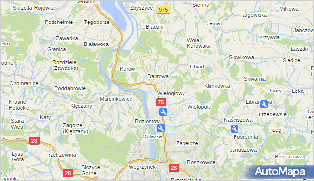 mapa Wielogłowy gmina Chełmiec, Wielogłowy gmina Chełmiec na mapie Targeo