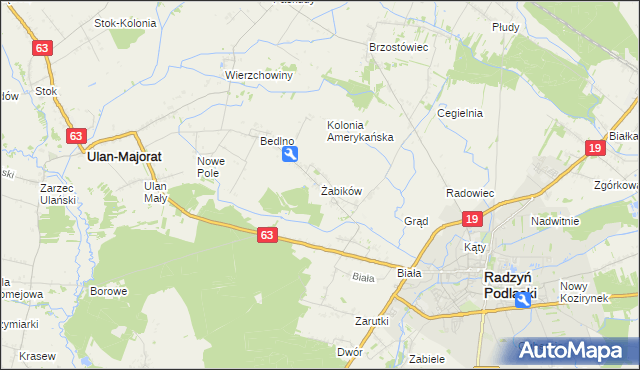 mapa Żabików gmina Radzyń Podlaski, Żabików gmina Radzyń Podlaski na mapie Targeo