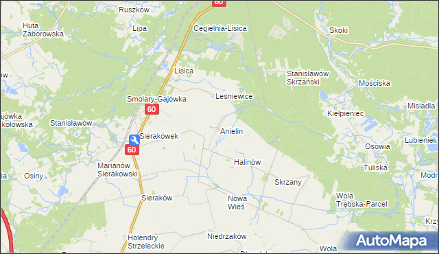 mapa Anielin gmina Gostynin, Anielin gmina Gostynin na mapie Targeo