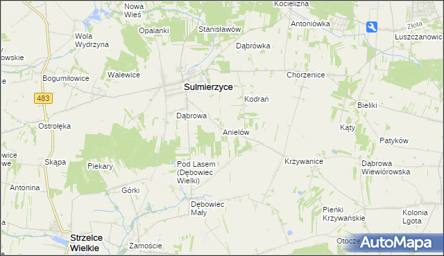 mapa Anielów gmina Sulmierzyce, Anielów gmina Sulmierzyce na mapie Targeo