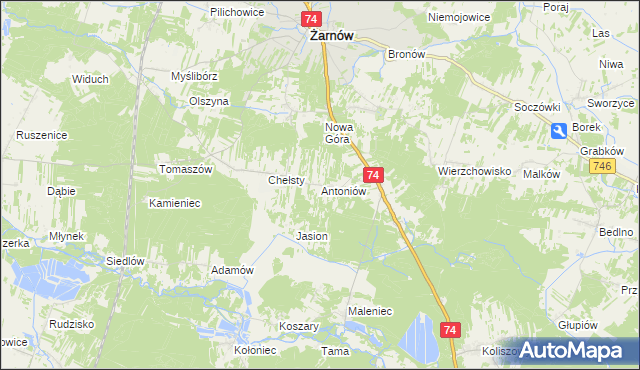 mapa Antoniów gmina Żarnów, Antoniów gmina Żarnów na mapie Targeo