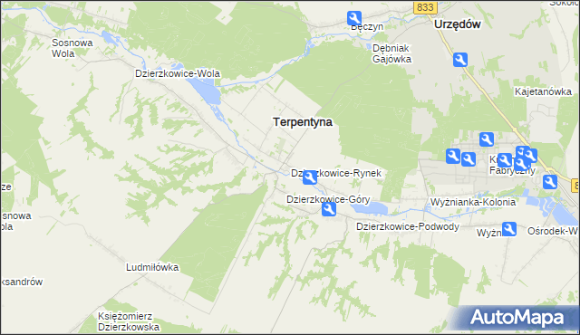 mapa Dzierzkowice-Rynek, Dzierzkowice-Rynek na mapie Targeo