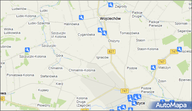 mapa Ignaców gmina Wojciechów, Ignaców gmina Wojciechów na mapie Targeo