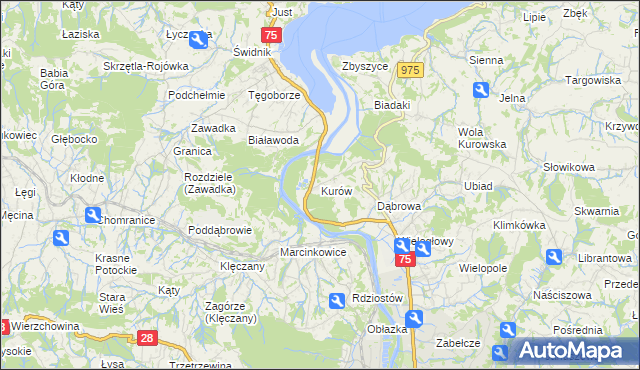 mapa Kurów gmina Chełmiec, Kurów gmina Chełmiec na mapie Targeo