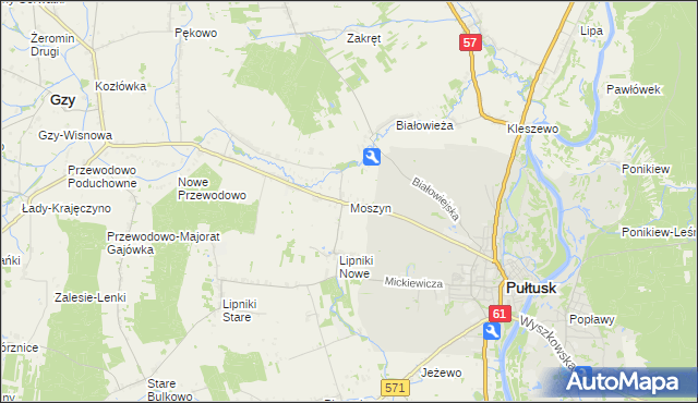 mapa Moszyn, Moszyn na mapie Targeo