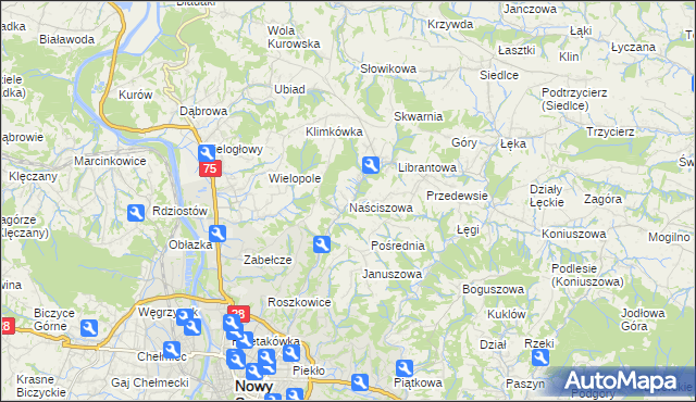 mapa Naściszowa, Naściszowa na mapie Targeo