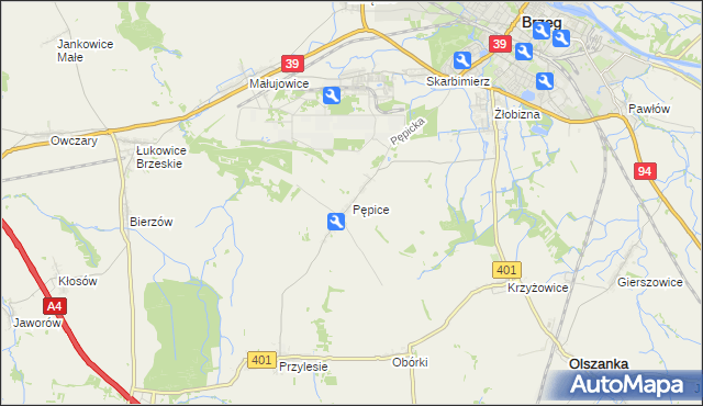 mapa Pępice gmina Skarbimierz, Pępice gmina Skarbimierz na mapie Targeo