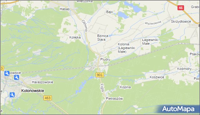 mapa Pludry, Pludry na mapie Targeo