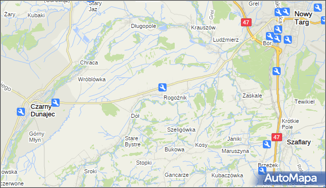 mapa Rogoźnik gmina Nowy Targ, Rogoźnik gmina Nowy Targ na mapie Targeo