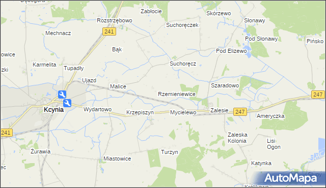 mapa Rzemieniewice gmina Szubin, Rzemieniewice gmina Szubin na mapie Targeo