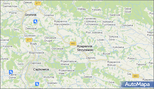 mapa Rzepiennik Strzyżewski, Rzepiennik Strzyżewski na mapie Targeo