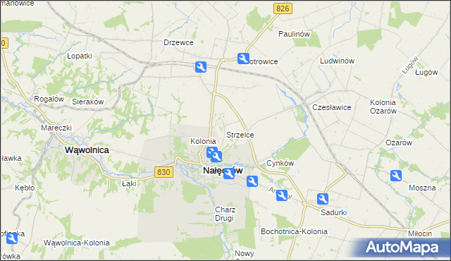 mapa Strzelce gmina Nałęczów, Strzelce gmina Nałęczów na mapie Targeo
