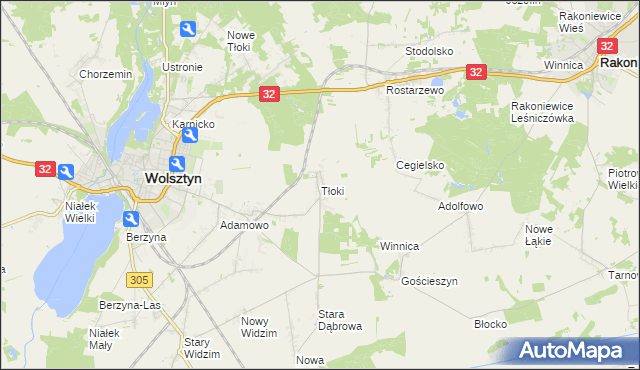 mapa Tłoki gmina Wolsztyn, Tłoki gmina Wolsztyn na mapie Targeo