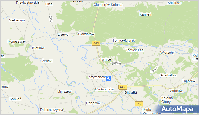 mapa Tomice gmina Gizałki, Tomice gmina Gizałki na mapie Targeo
