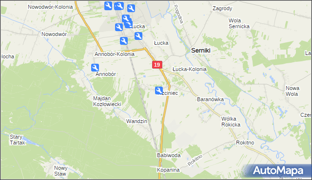 mapa Trzciniec gmina Lubartów, Trzciniec gmina Lubartów na mapie Targeo