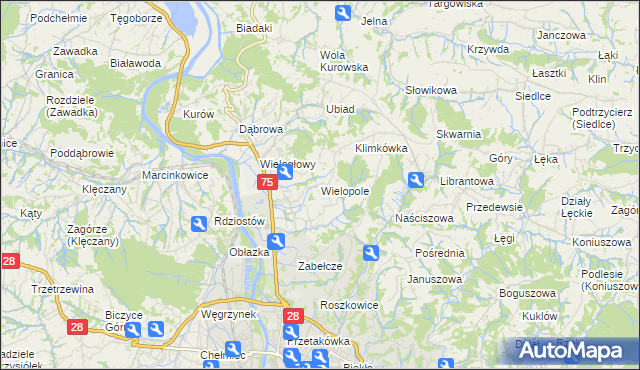 mapa Wielopole gmina Chełmiec, Wielopole gmina Chełmiec na mapie Targeo