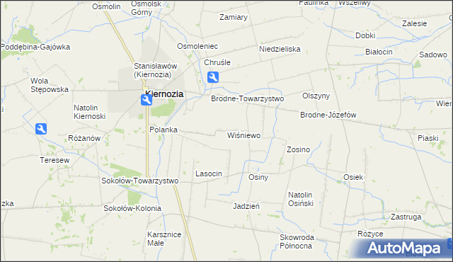 mapa Wiśniewo gmina Kiernozia, Wiśniewo gmina Kiernozia na mapie Targeo