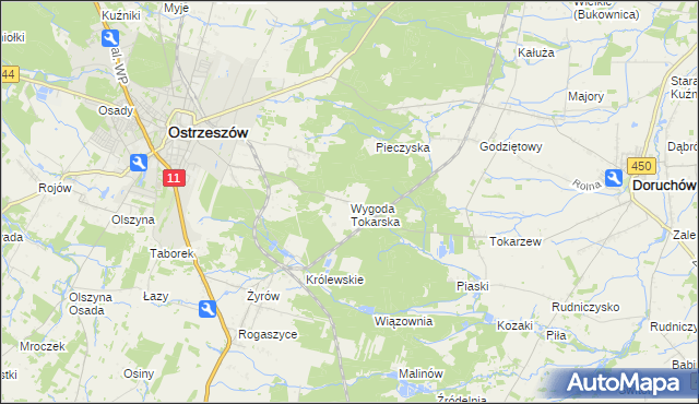 mapa Wygoda Tokarska, Wygoda Tokarska na mapie Targeo