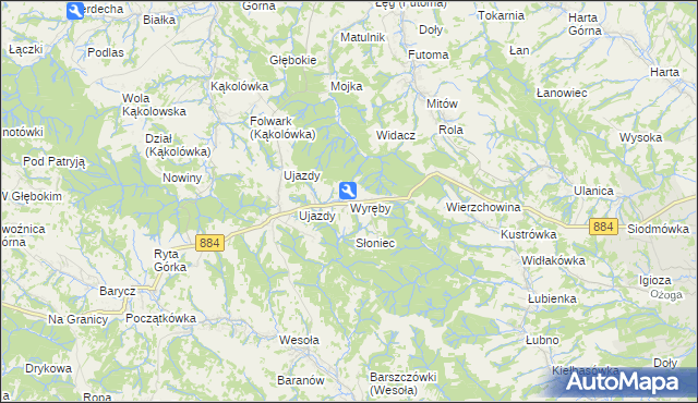 mapa Wyręby gmina Dynów, Wyręby gmina Dynów na mapie Targeo