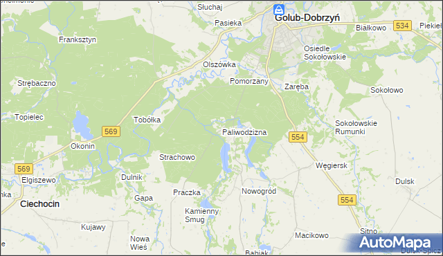 mapa Paliwodzizna, Paliwodzizna na mapie Targeo