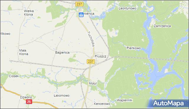 mapa Pruszcz gmina Gostycyn, Pruszcz gmina Gostycyn na mapie Targeo