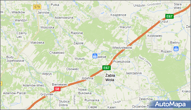 mapa Zalesie gmina Żabia Wola, Zalesie gmina Żabia Wola na mapie Targeo