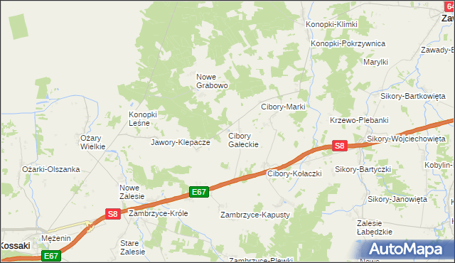 mapa Cibory Gałeckie, Cibory Gałeckie na mapie Targeo