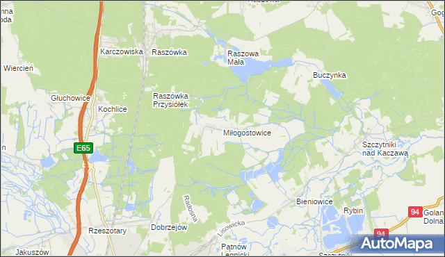 mapa Miłogostowice, Miłogostowice na mapie Targeo