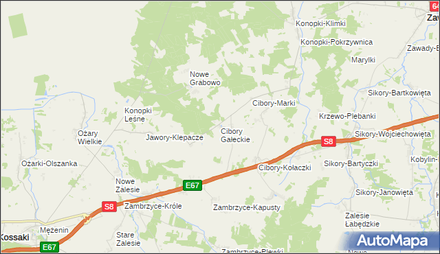 mapa Cibory Gałeckie, Cibory Gałeckie na mapie Targeo