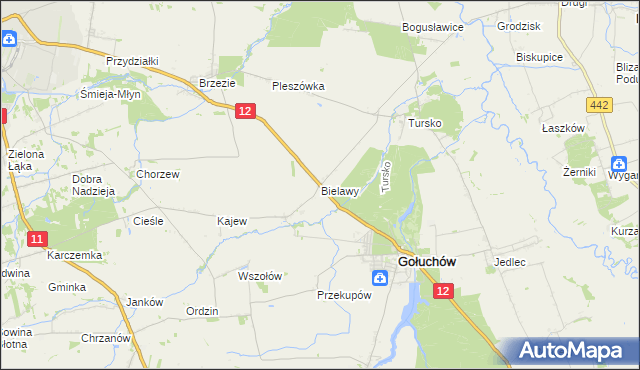 mapa Bielawy gmina Gołuchów, Bielawy gmina Gołuchów na mapie Targeo