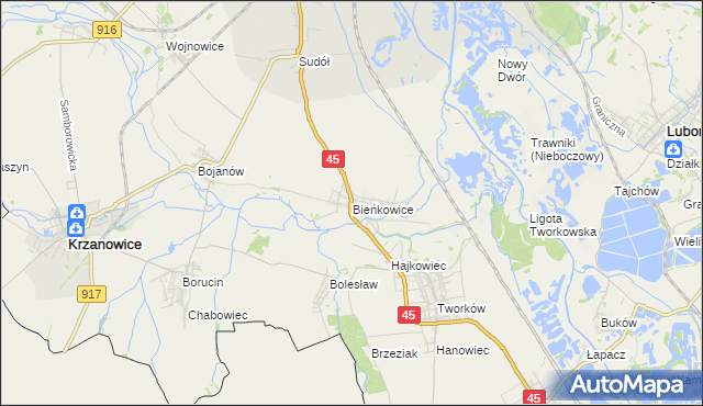 mapa Bieńkowice gmina Krzyżanowice, Bieńkowice gmina Krzyżanowice na mapie Targeo