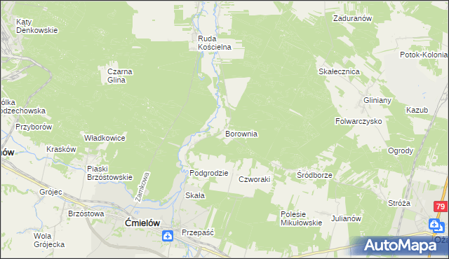 mapa Borownia, Borownia na mapie Targeo