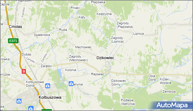 mapa Dzikowiec powiat kolbuszowski, Dzikowiec powiat kolbuszowski na mapie Targeo