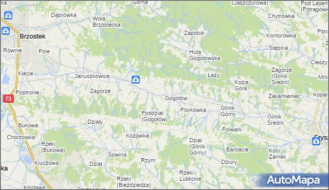 mapa Gogołów gmina Frysztak, Gogołów gmina Frysztak na mapie Targeo