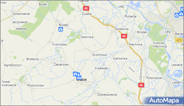 mapa Grocholub, Grocholub na mapie Targeo