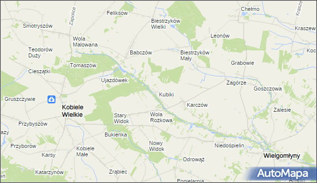 mapa Kubiki gmina Wielgomłyny, Kubiki gmina Wielgomłyny na mapie Targeo